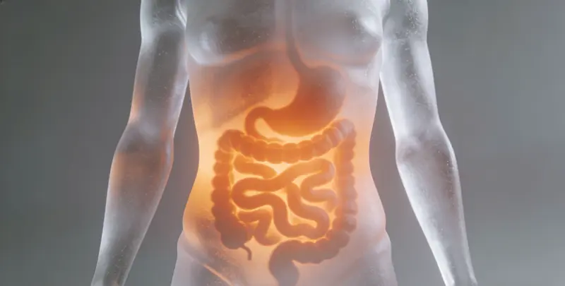 安庆胃癌全面用药基因检测（组织）图片1